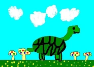 Turtle and Mushrooms