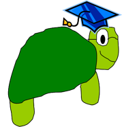 Nerd Turtle
