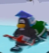 Polo field cool in the cold