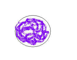 Ditto snowball image