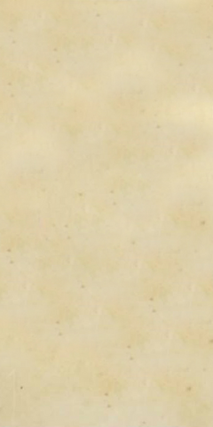 Ficheiro:5algumacoisabackground.png