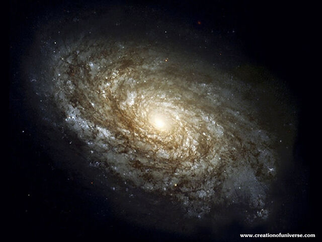 File:Spiral Galaxy jpg.jpg