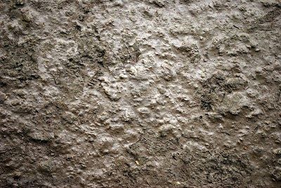 muck definition