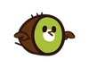 Kiwi Bird