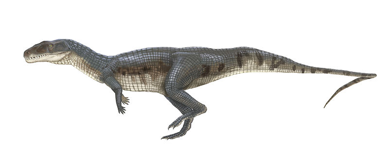 bipedal dinosaurs list