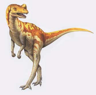 dinosaur that looks like t rex but has horns