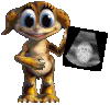 Pregnancy