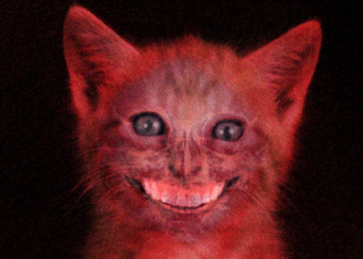Image - Smilecat.jpg | Creepypasta Wiki | Fandom powered by Wikia