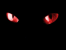 Cat Eyes by ZeLLzGoDDeSs