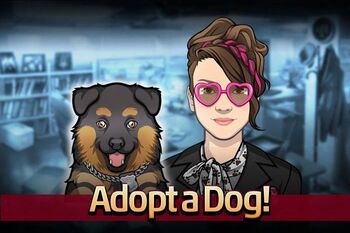 Adoptar un perro