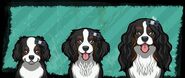 El rey Carlos Spaniel.jpg (32 KB) King Charles Spaniel