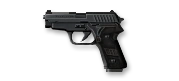 P228.png