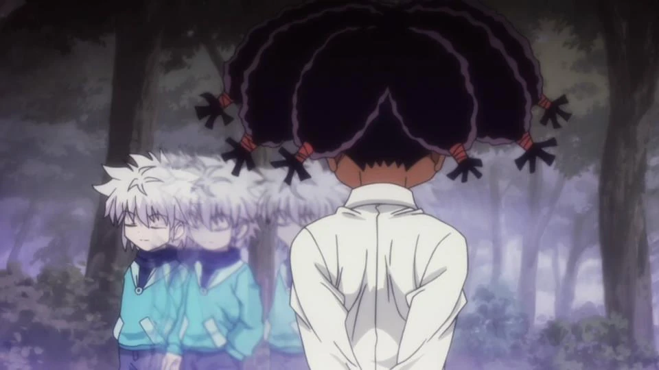 Hunter X Hunter Canary And Killua