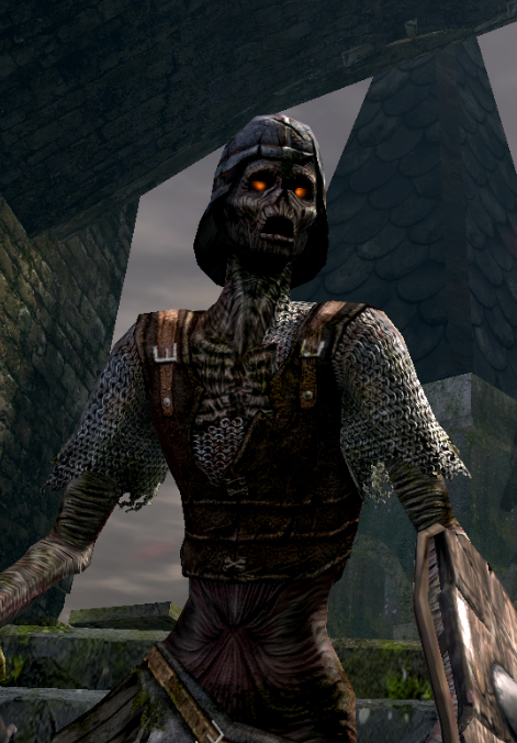 dark souls 2 hollow invasion dark souls 2 hollow invasion