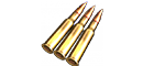 7.62mm Round s