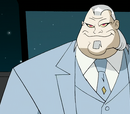Category:Metahumans | DC Animated Universe | Fandom powered by Wikia