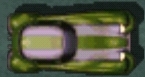 Darkstripedrumbler2.jpg