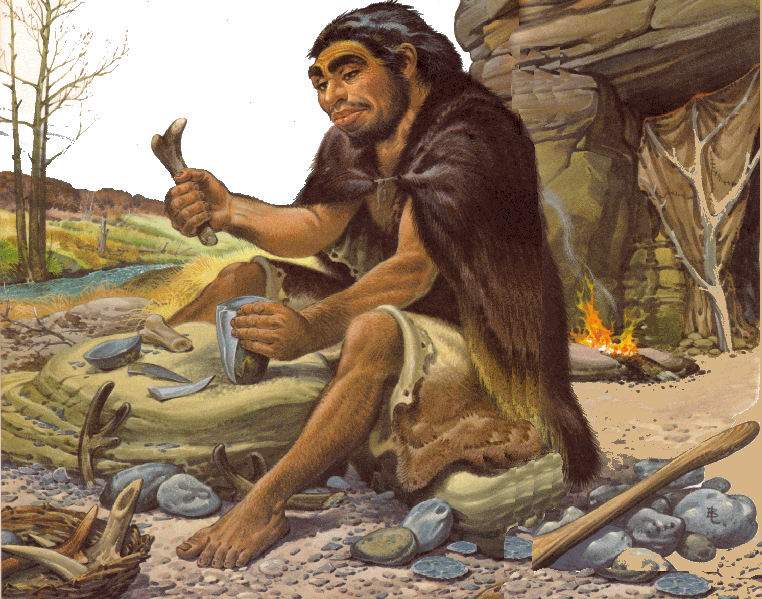Neanderthals | ...