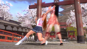 Kasumi vs. Lei Fang