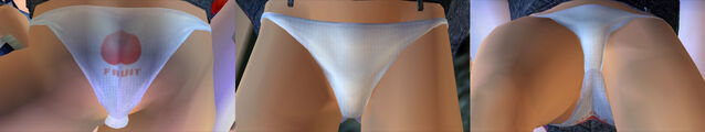File:DOAULeiFangPantiesCos20b.jpg