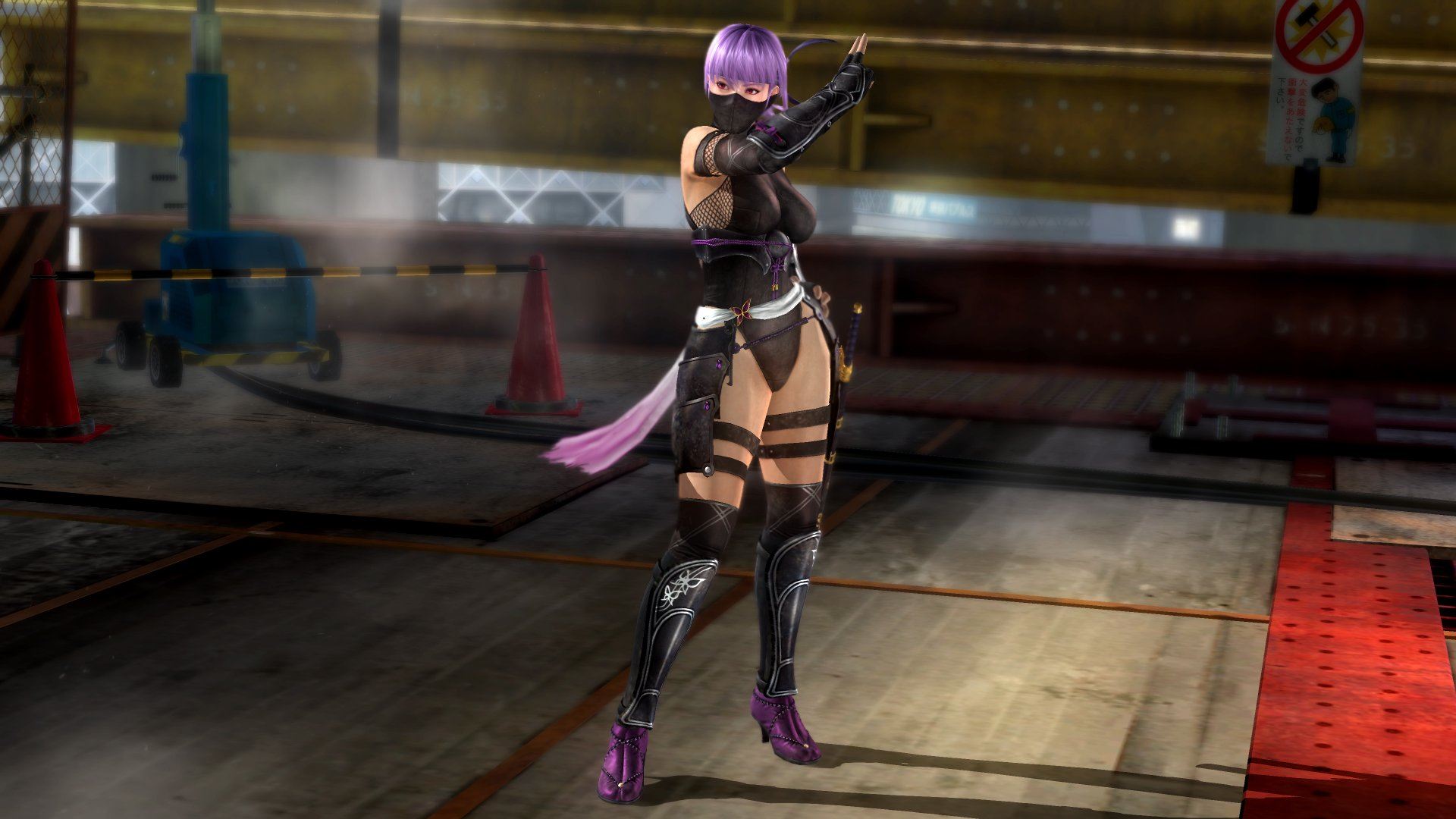download dead or alive 5 last round for free download dead or alive 5 last round for free