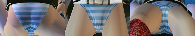 File:DOAUAyanePantiesCos10.jpg