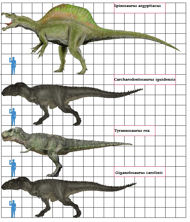 types of theropods