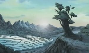 Ricefieldcountry.jpg