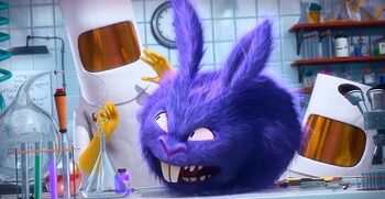 Purple Bunny