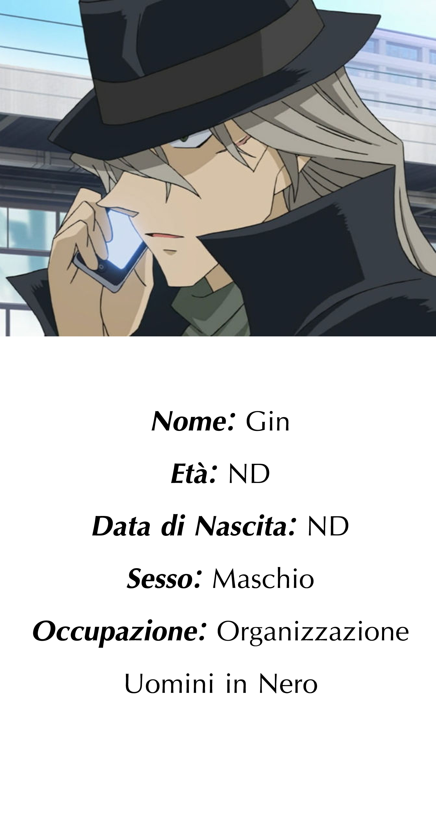 Gin Detective Conan Wikia FANDOM powered by Wikia