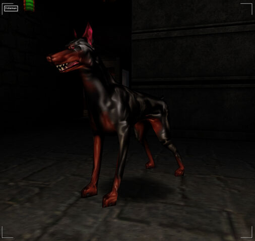 File:Doberman.jpg