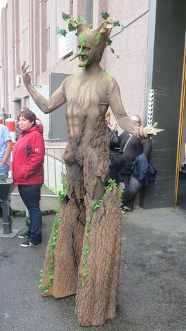 Datei:RPC 2014 Ent.jpg