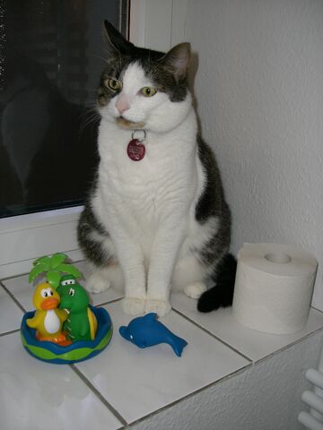 Datei:2009-09-kasi-im-bad.jpg