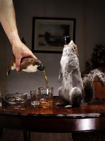 Datei:Brewdog taxidermy211 534.jpg