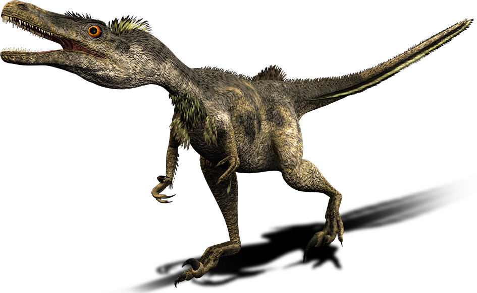 Velociraptor | Dinosaur Wiki | Fandom powered by Wikia