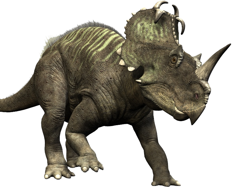 dating dinosaurs wiki For the first time, scientists have extracted what appears to be soft tissue from a dinosaur the meaty-looking tissue seems to contain blood vessels and cells. dating dinosaurs wiki For the first time, scientists have extracted what appears to be soft tissue from a dinosaur the meaty-looking tissue seems to contain blood vessels and cells.
