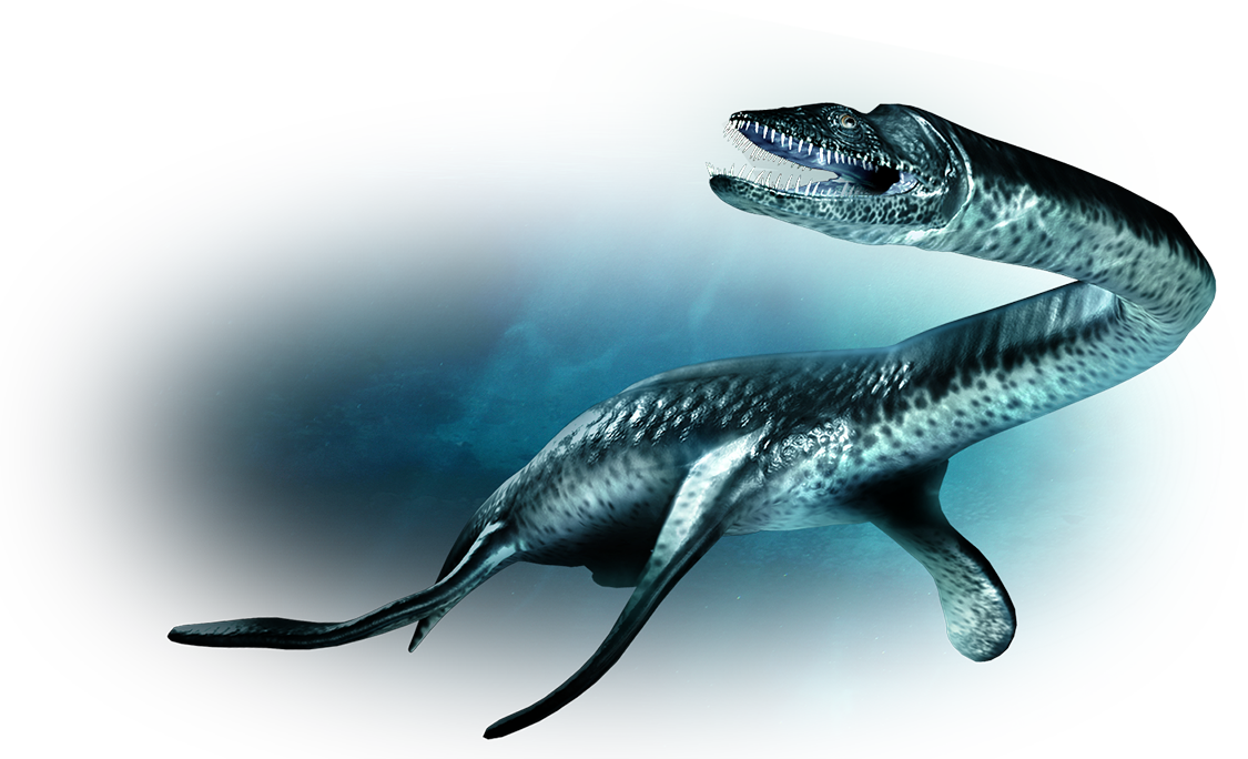 the plesiosaurus