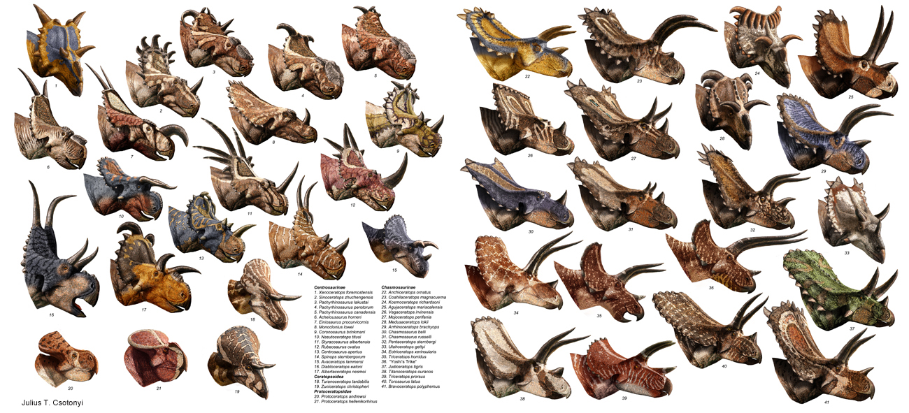 2 horned dinosaur