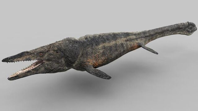 saurian mosasaurus
