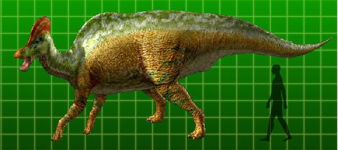 corythosaurus dinosaur with crest on head