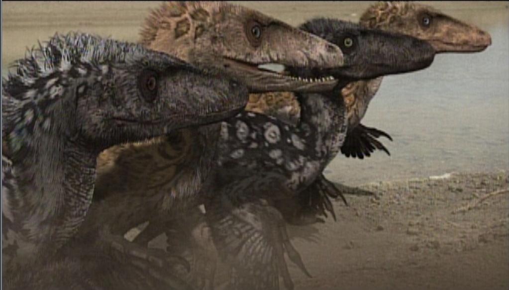 utahraptor with feathers