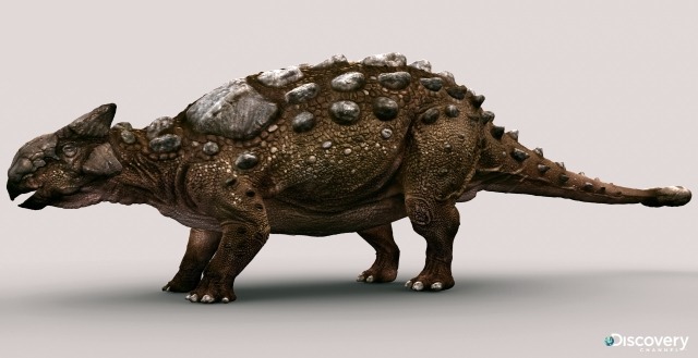 triceratops and ankylosaurus