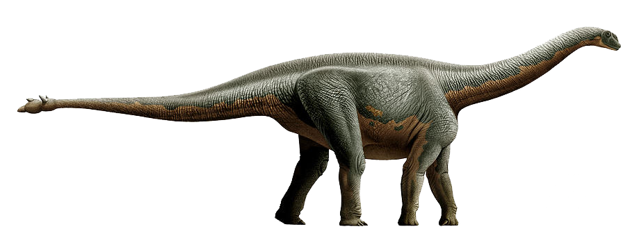 shunosaurus