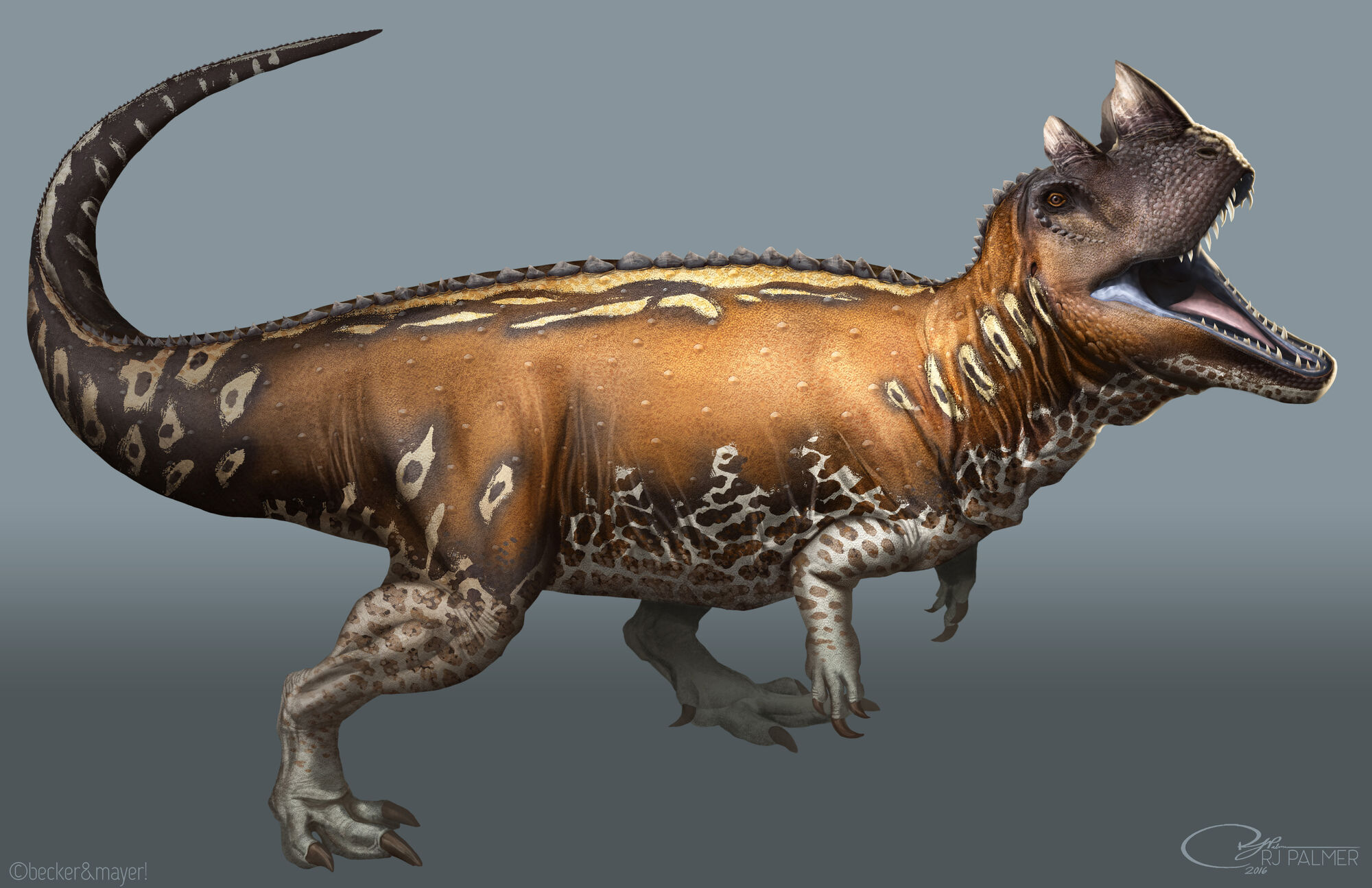 ceratosaurus jurassic