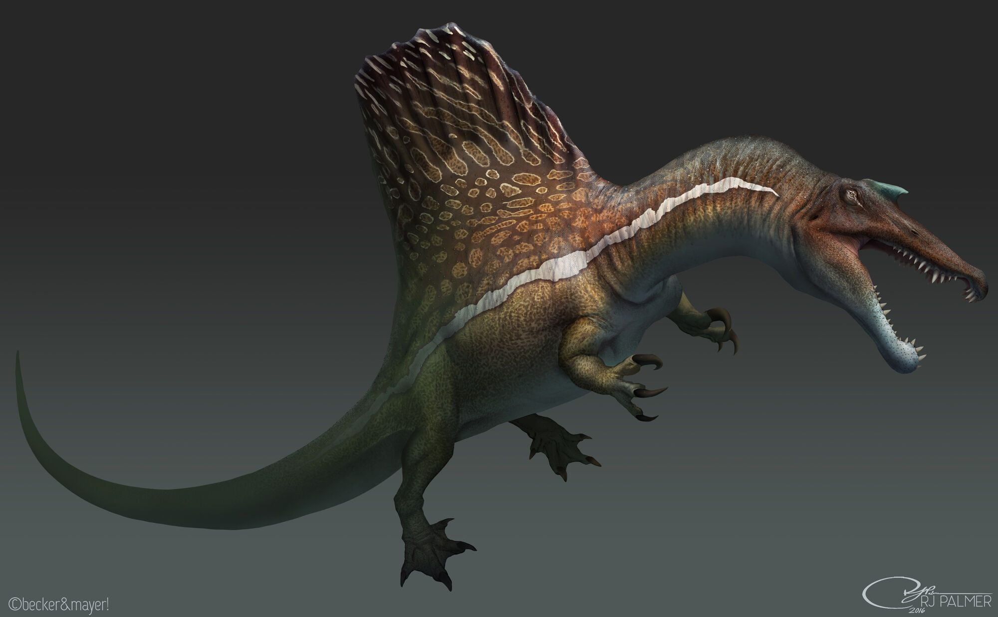 Spinosaurus | Dinopedia | FANDOM powered by Wikia