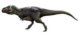 Tyrannosaurus1