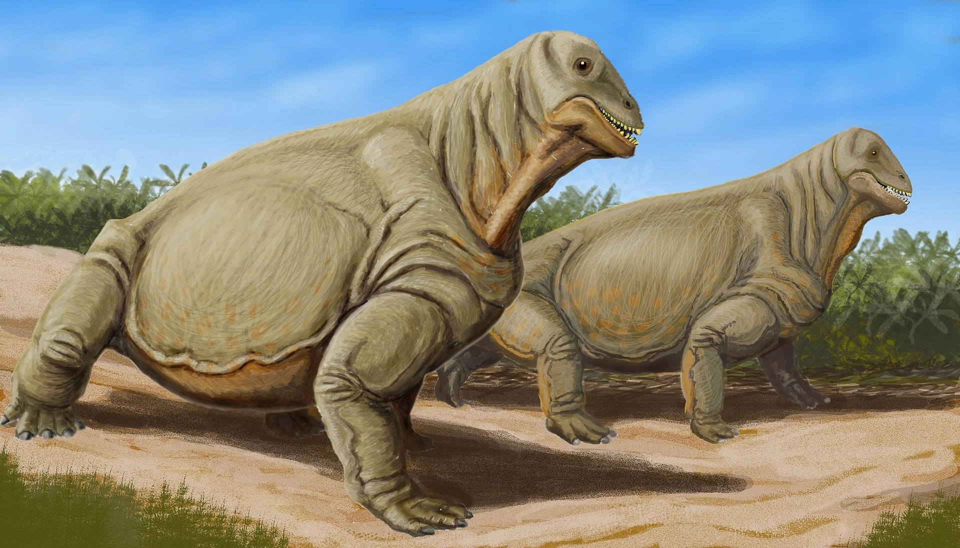 Moschops Dinopedia Wikia