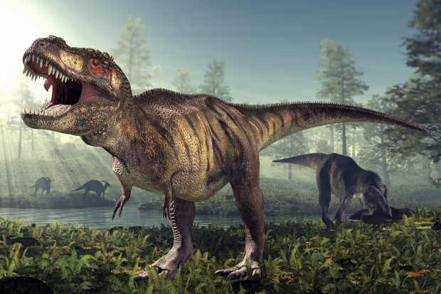 Tyrannosaurus-rex-DW-Wissenschaft-Yaan.jpg