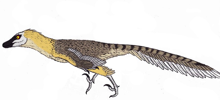 velociraptor accurate