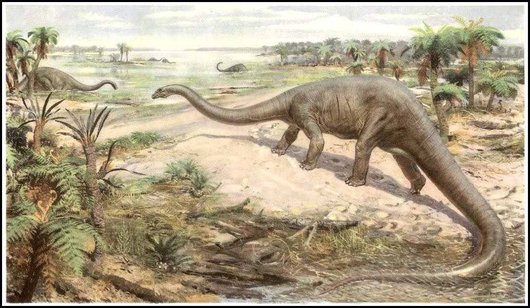 Diplodocus/Gallery | Dinopedia | FANDOM powered by Wikia